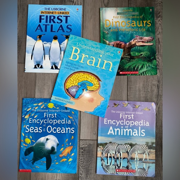 Usborne Toys Usborne By Paper Pie Bundle Educational Homeschool